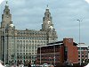 Goodison Park hotels - Crowne Plaza Liverpool in front of the Liver Building